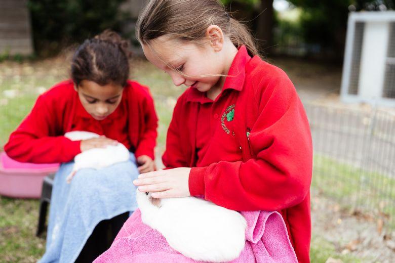 Pupils with guinea pigs